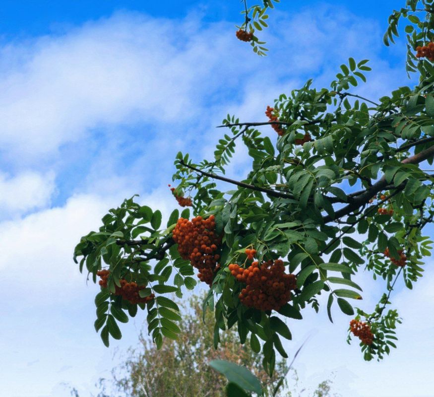 Доброе утро, дорогие кировчане!