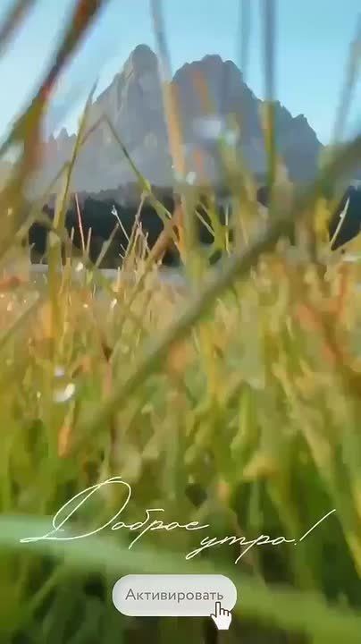 � ������ ����� �������������!