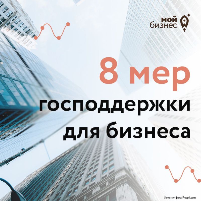 Каждый десятый предприниматель использует меры господдержки