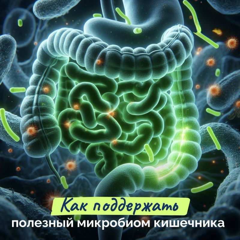 � �������� ���������� ������ ���������