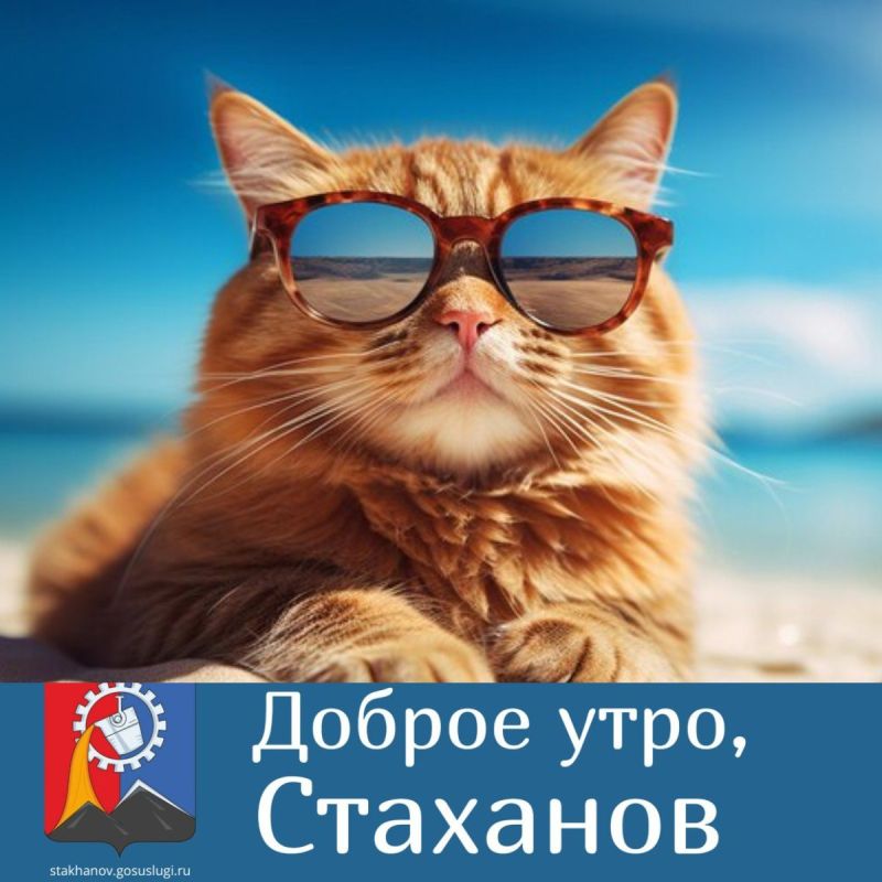 ������ ����, ������!. ���������� �������������� �� �������: