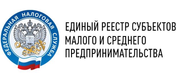 Состояние реестра субъектов МСП в Краснодонском муниципальном округе на 10 августа