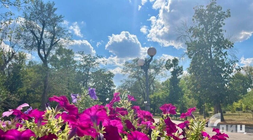 Синоптики прогнозируют 15 августа в ЛНР до 28 градусов тепла