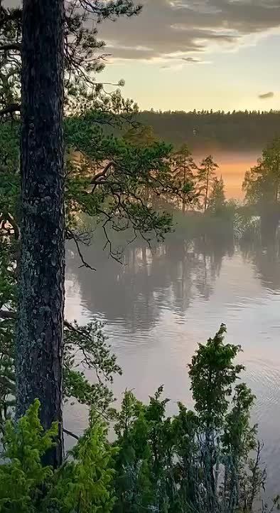 Доброе утро