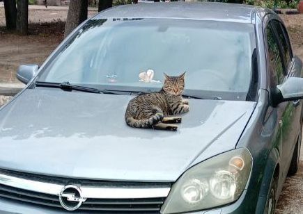 14 августа на территории Луганской Народной Республики прогнозируется переменная облачность