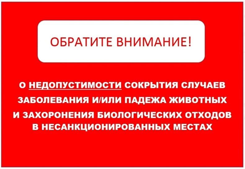 �������� ���������� ���� ����� ��������!