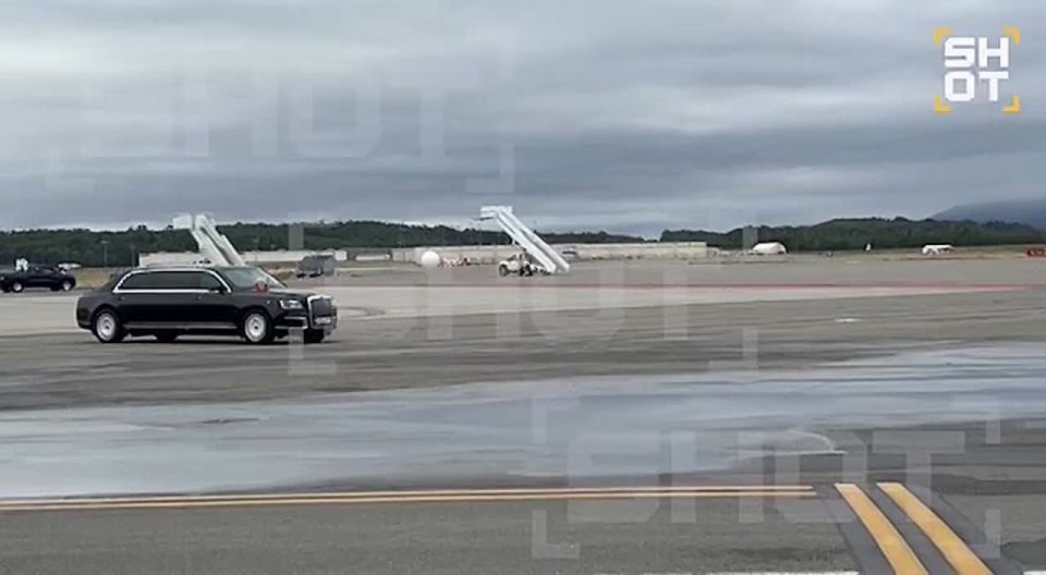 ������������� ������ �������� �� ������� ���� ������������ � ���������