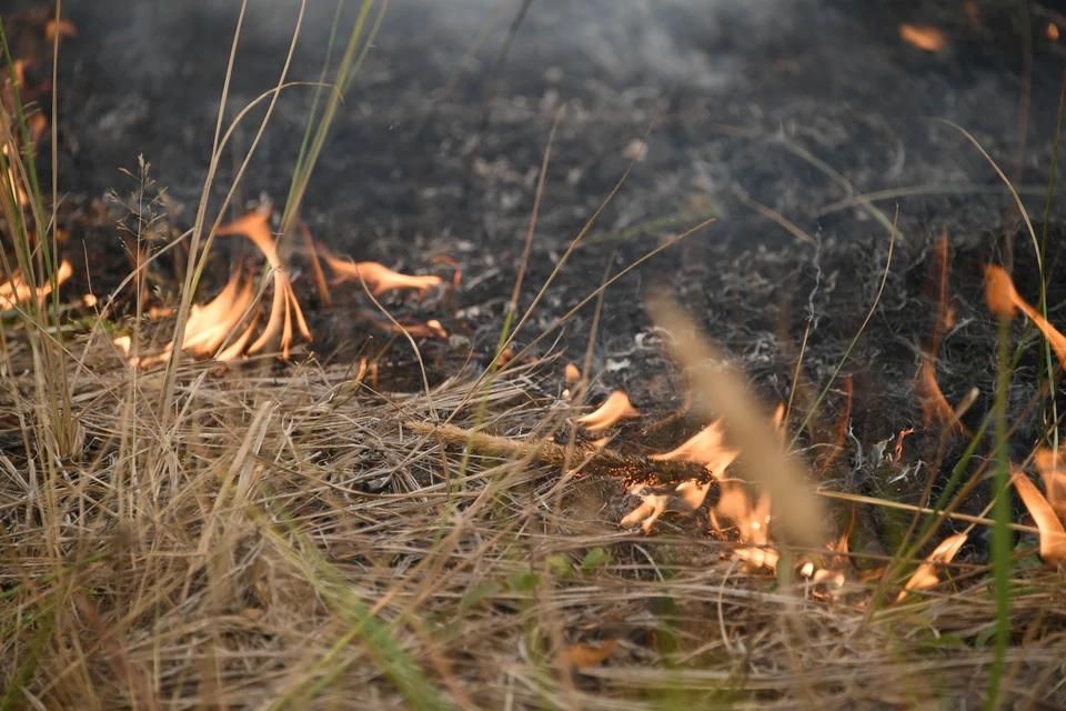 ������ ��� ��������� 1 ��� ������ ������� �� ���������