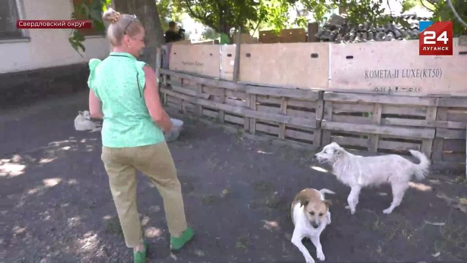 ����� 200 ��������� ����� ����� ����� ������ � ������� ���� ��������� ���������� ������������� ������ ��������