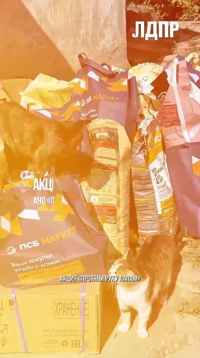 ����� ����� ������ ������ � ������ � ���� ����� ��������� �������� �������� ���� �� �������