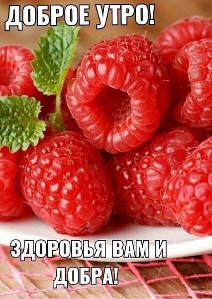 � ������ �����, ������������� �����!
