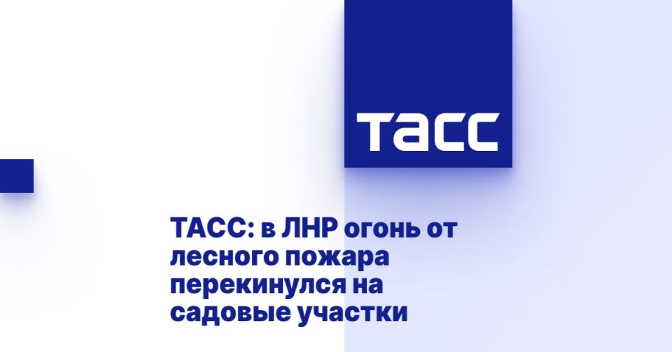 ����: � ��� ����� �� ������� ������ ����������� �� ������� �������