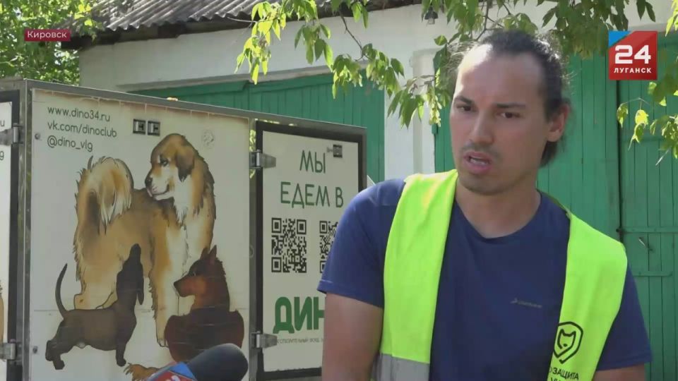 Волгоградские зооволонтеры Благотворительного фонда «Дино» в очередной раз спасают животных Донбасса