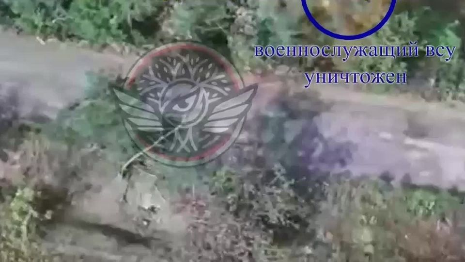 ������� ���� � ���������� ����� ����������� ����� � ������������ ������-�������� ������������� �� ���������������� ����������� � ��� ���������� ��������� 12-�� ������� �������� ��������