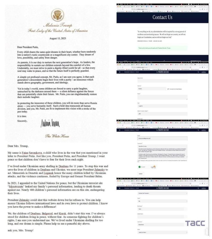  :  ,   ,       12 ,       :