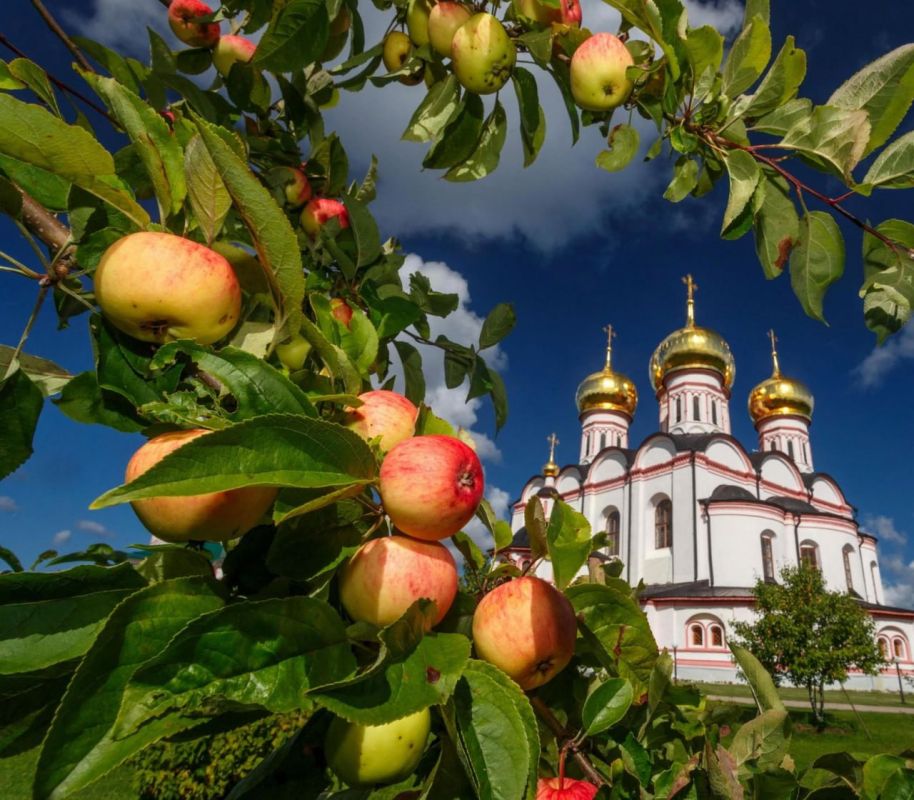 ������� �������: ��������� ������ ������!. �� ���� ���� ���������� ��� � ������� ���������� ������������ ��������, ������� �� ���� ������� �������� �������� ������! � ���� ���� �������� �������� � ����� ��� ��������� ������...