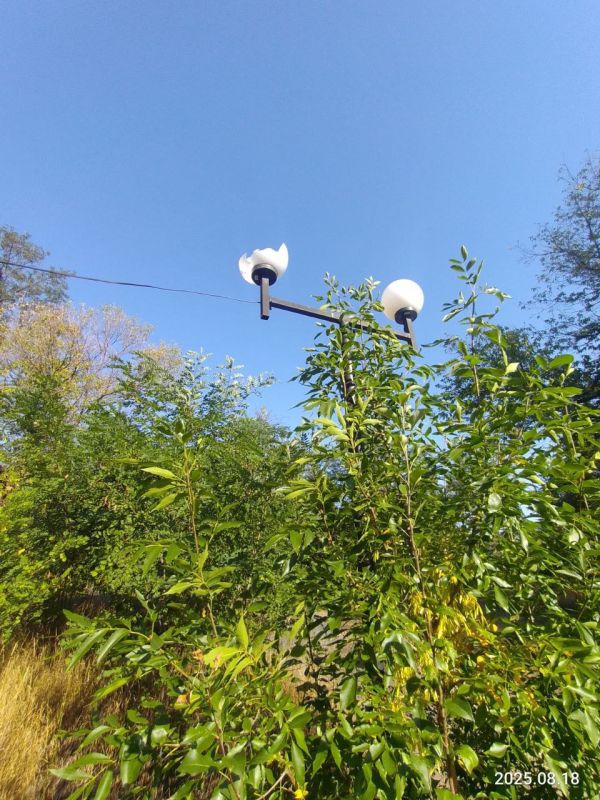 Евгений Морозов: На этих фото результат "трудов" нерадивых жителей Брянки