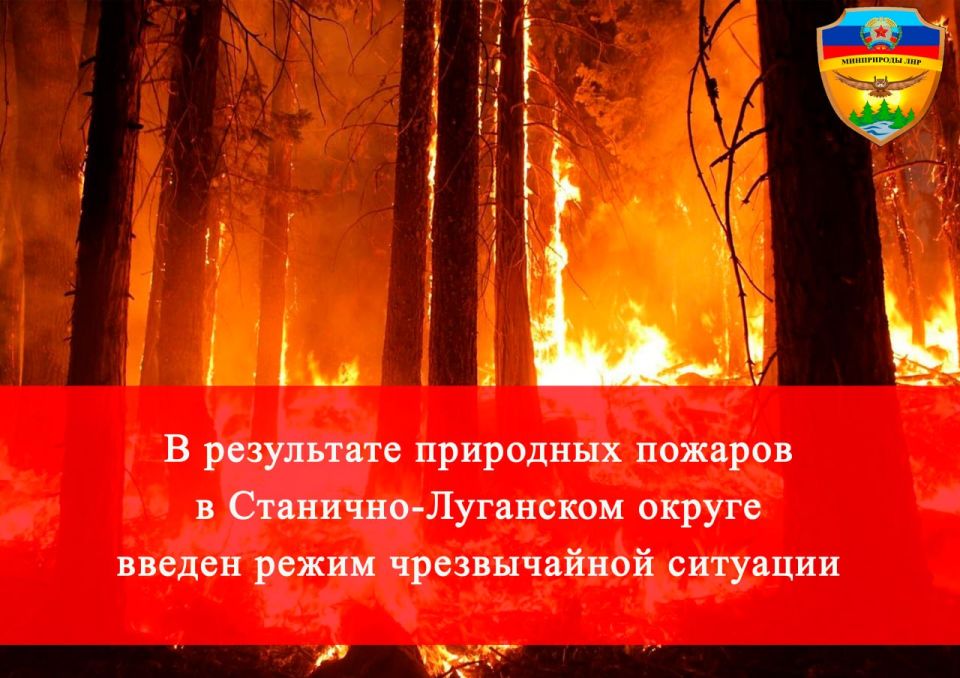 17.08.2025 �� ���������� ��������-���������� �����������, ������������ ����������� ����������� ���� ���������� 2 ����� ����������