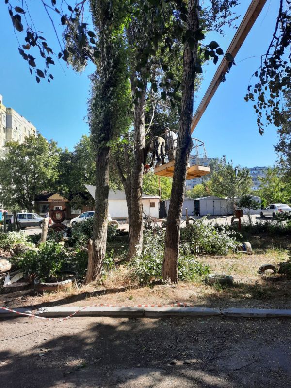 Андрей Рубанцов: Коммунальщики городского округа занимаются спилом аварийных деревьев