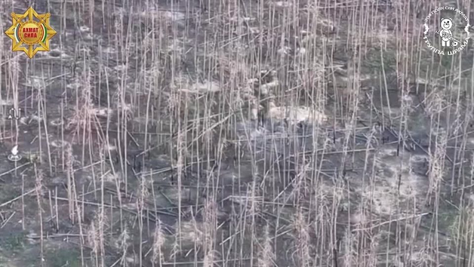 ���� �������� ��������� ������ ������� �������� �����һ ������������ ������� ���������� ���������, ������� ����������������� ����� �� ���������� �������� ����������