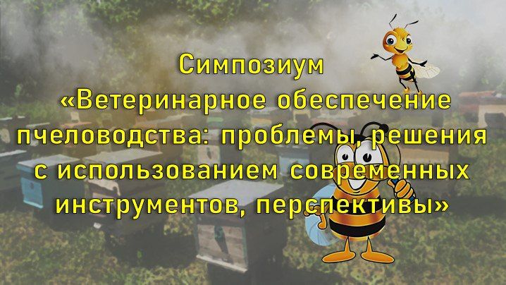 ���������� ������� ������� � ���������� ������������� ����������� ������������: ��������, ������� � �������������� ����������� ������������, ������������