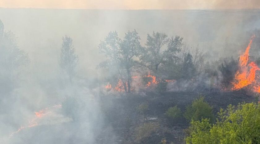 �������� ������� ������ ���������� ����� ����� � ��������-��������� ������