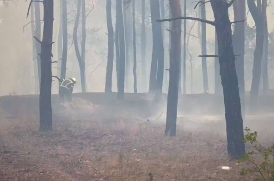 ����� ���� ����� �������� �� ���������� ������� �������� � ������� ��������� ���������� � ���������� �������