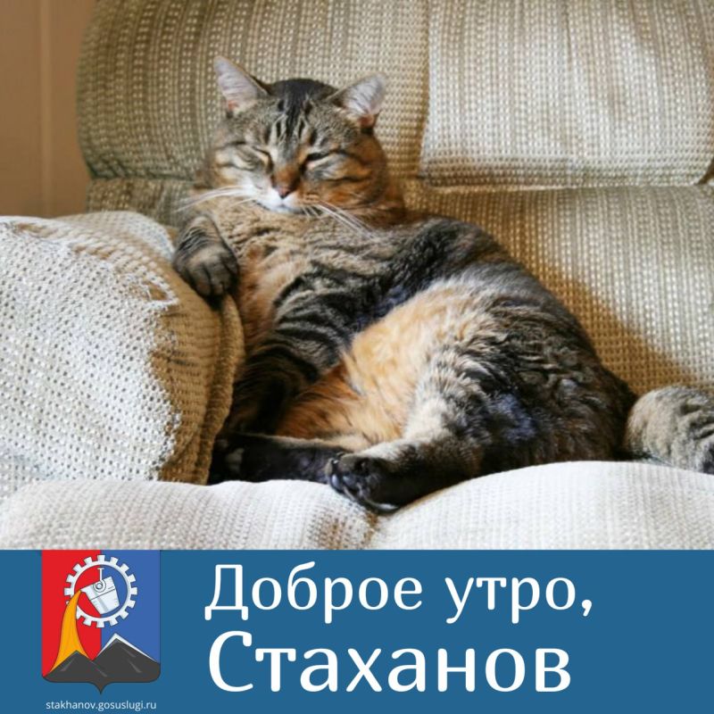 ������ ����, ��������!. ������� ��������� ���� ����
