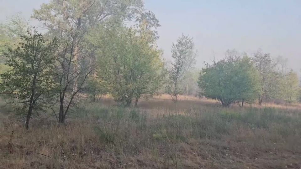 �������� ����� ������� �������� ���������� � ��������-��������� ������, ������������ ���� ��� ����� ������