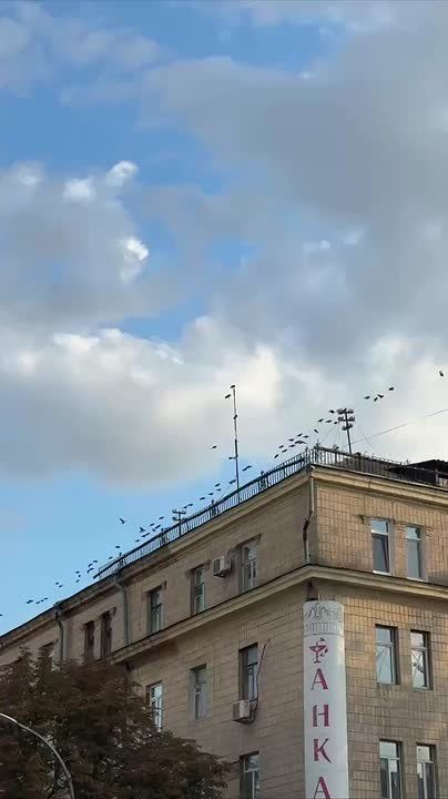 ��������� ������������ 21 ������� � ��� �� 10 �������� ���� ���� ����� �� 32 �������� ����� ����