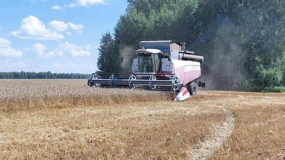 ������� ����������� ������ ����� � ����� ������� ������� ��������� �������� � ���