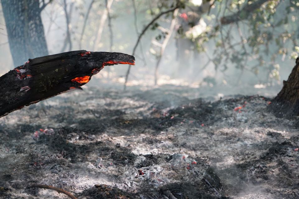 � ��������-��������� ������ ���� �� ����������� ��������������� ����