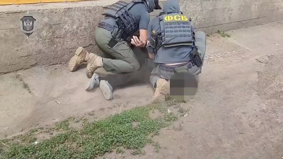 Когда уже всех шпионов пересажают?