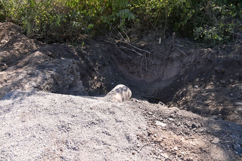 ������������ ����������� ������� �������� ����� ������