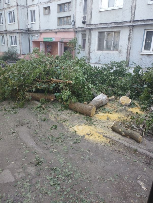 Андрей Рубанцов: Муниципальное унитарное предприятие "Скат" продолжает работу по вывозу мусора, образовавшегося после проведения работ по спилу деревьев