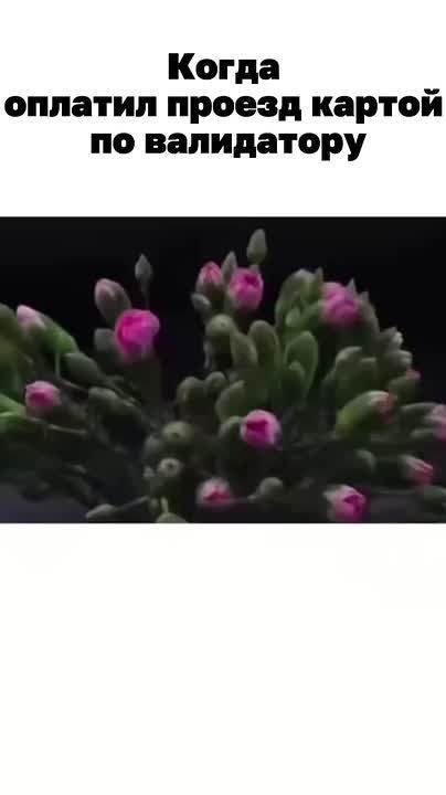 ������� �����: ���� ��� ���������� � � ����� ����������
