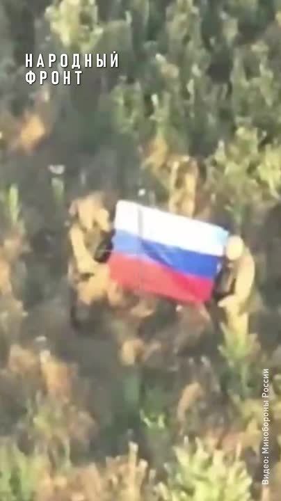 Наш триколор непобедим!. С праздником, друзья, с Днём российского флага!