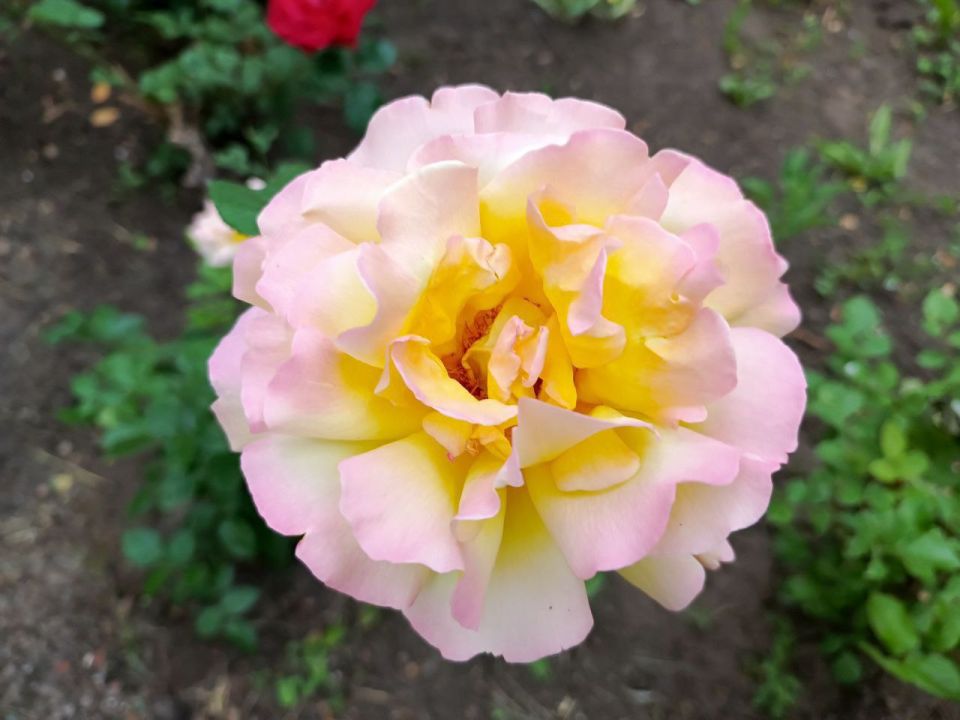 Доброе утро, дорогие кировчане!