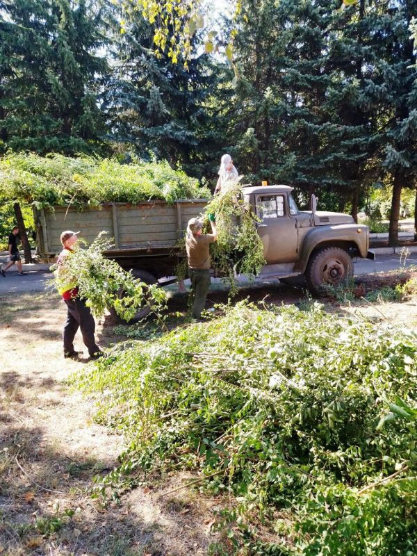 Силами МУП "Антрацитовское зеленое хозяйство" продолжаются работы по омоложению и санитарной вырубке аварийных деревьев