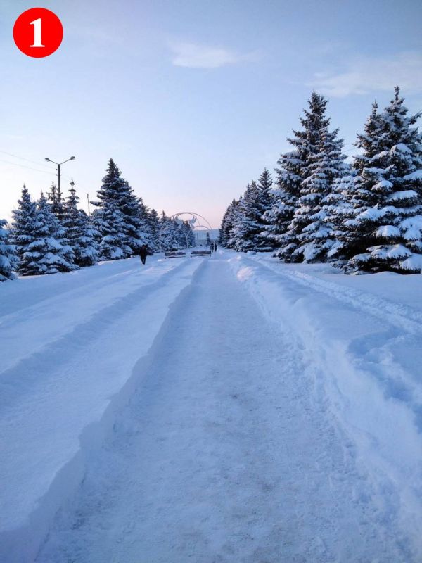 ���������� ���� ����� � ������ ���������� ������������ �������� �������� ������, ������������� � ������������ 260-����� �� ��� ��������� �����������