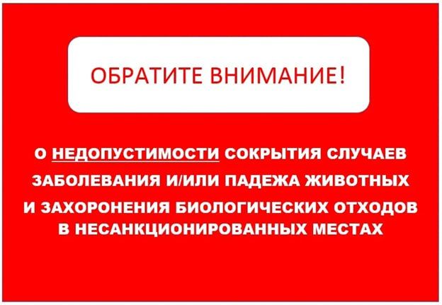 �������������� ���������. ������������� ����� ��������� �������� ����������, �������� � ������ ����������� ������� � ����������, �������� ���������