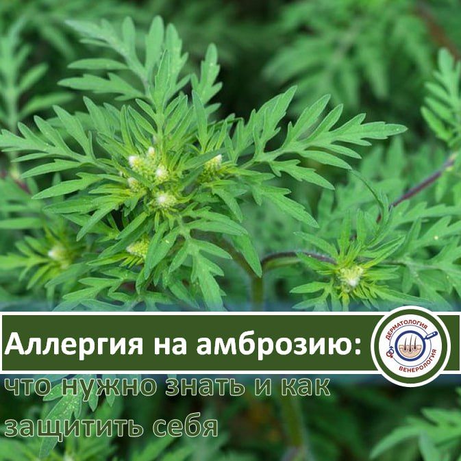 �������� �� �������� � ���� �� ����� ���������������� � ���������� ���� �������� ��������, ������� ����������� � ����� ���� � ������ �� �����