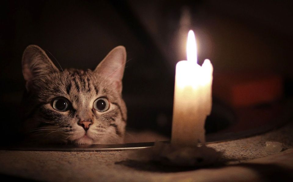 ������������ ��� ����������� ��������� � �������� ����������� �������������� �� ���������� ������������� �������������� ������ 28.08.2025�