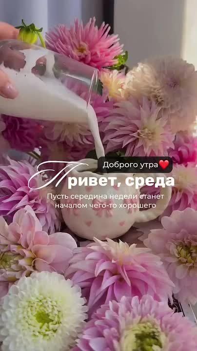 � ������ ����� ������������� �����! �������� ���� ���!