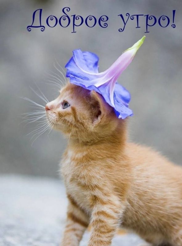� ������ �����, ������������� �����!