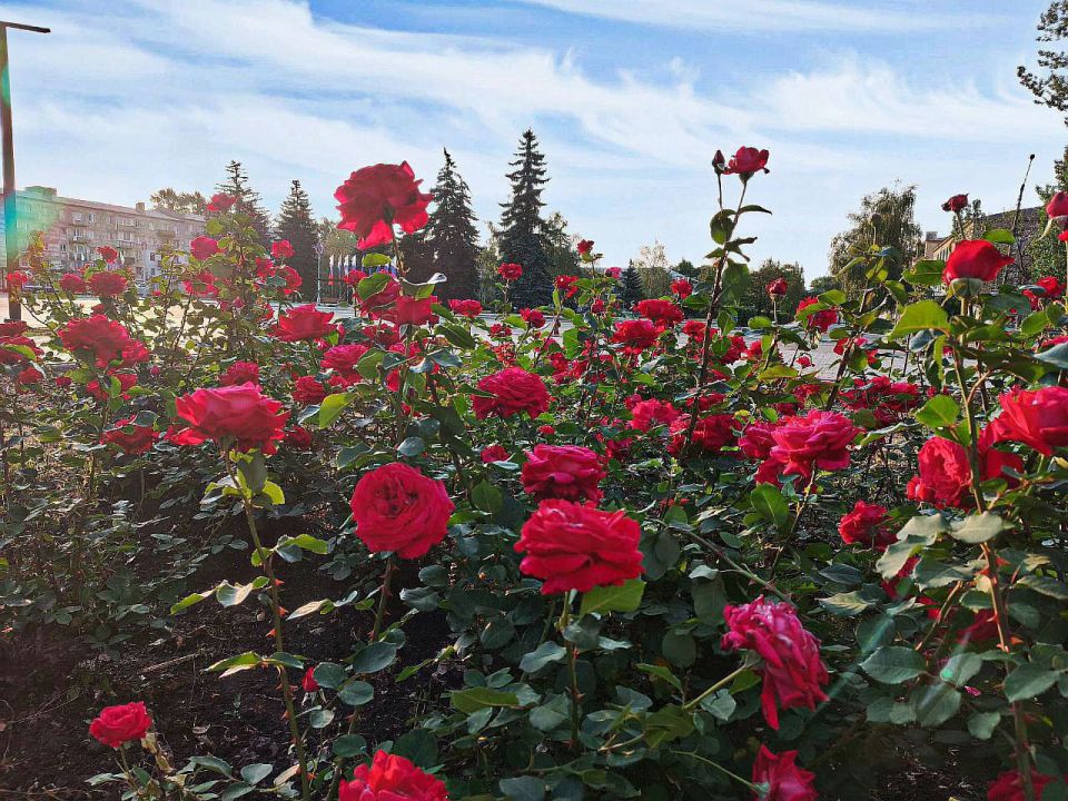 Доброе утро, Кировск!. Желаем всем хорошего дня и позитивного настроения! @agklnr #Кировск