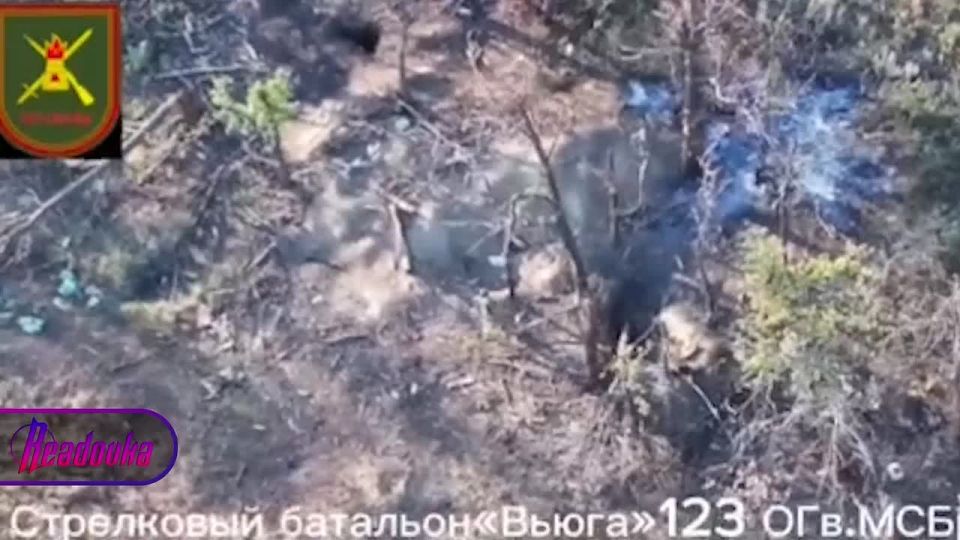 Казачья слава: успехи подразделений казаков 3-й армии ВС РФ на Северском направлении