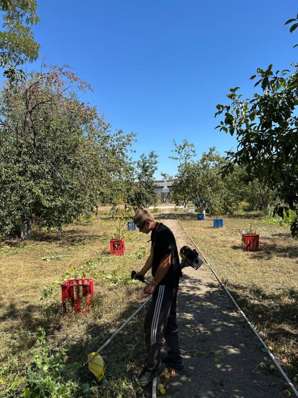 Память объединяет: в Суходольске благоустроили территорию памятных мест