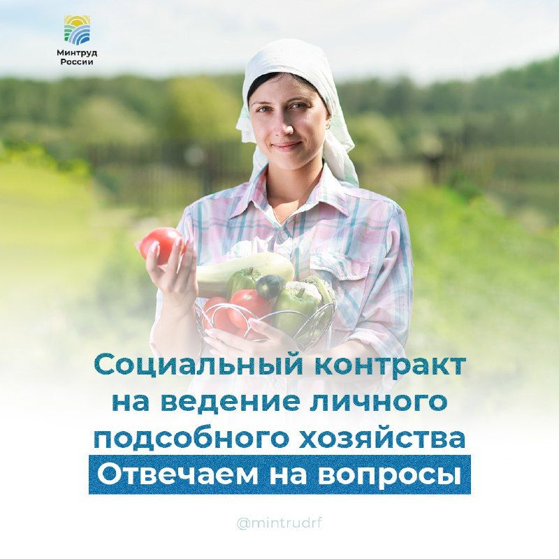 Вопрос: Где можно получить консультацию и куда необходимо обратиться с документами для получения социальной помощи на основании социального контракта?