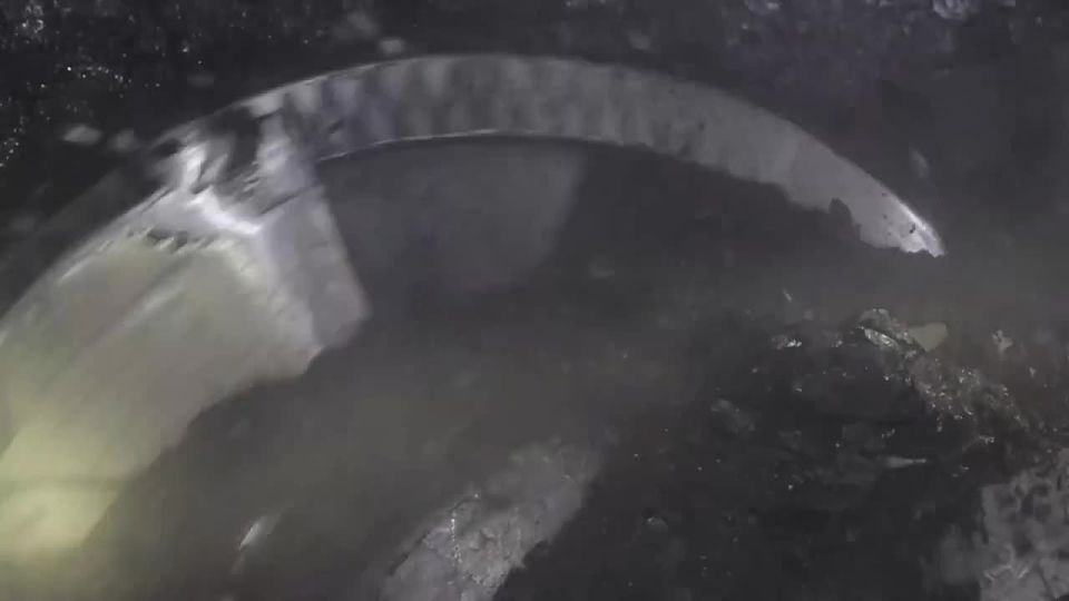 ������� ������! �� ������� �������� ���������